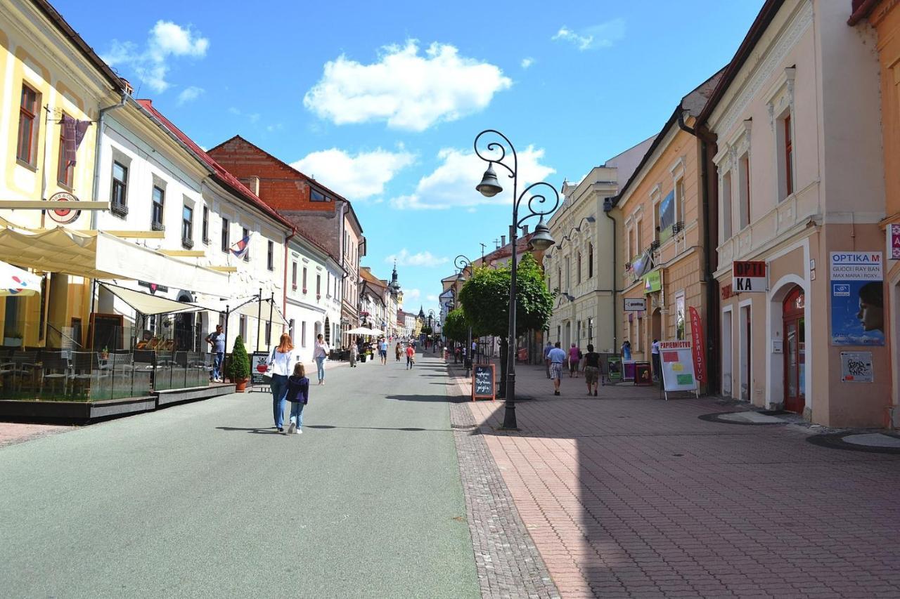 Old Town Apt. A/C And Parking Банська Бистриця Екстер'єр фото